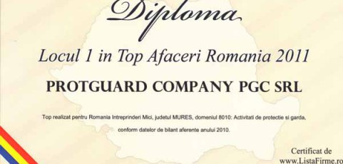 Top Afaceri 2011