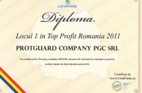 Top Profit 2011