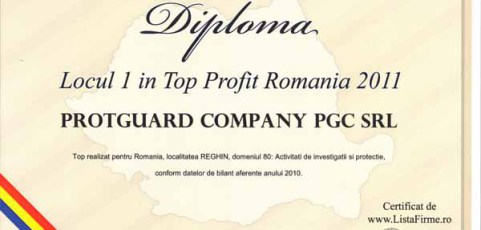 Top Profit 2011