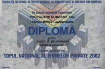 Topul National al Firmelor Private 2002