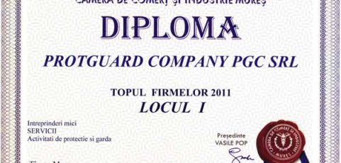 Top Firme 2011