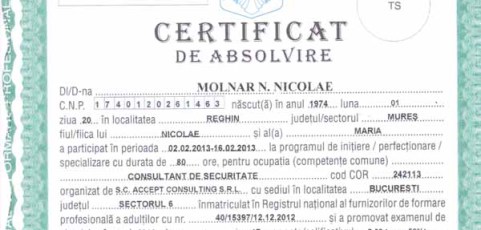 Consultant De Securitate