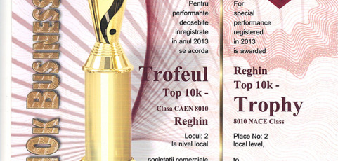 Trofeul Top 10k – Reghin – 2013