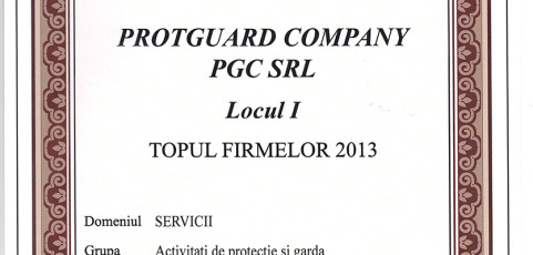 Topul Firmelor 2013