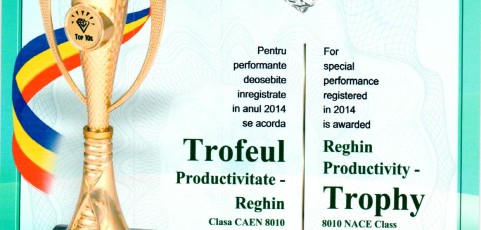 Diploma Productivitate